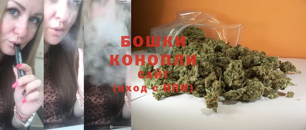 спиды Инсар