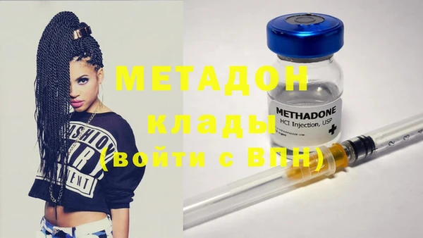 индика Инта