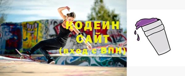 индика Инта