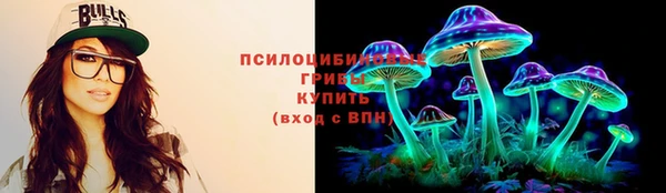 jwh Каменногорск