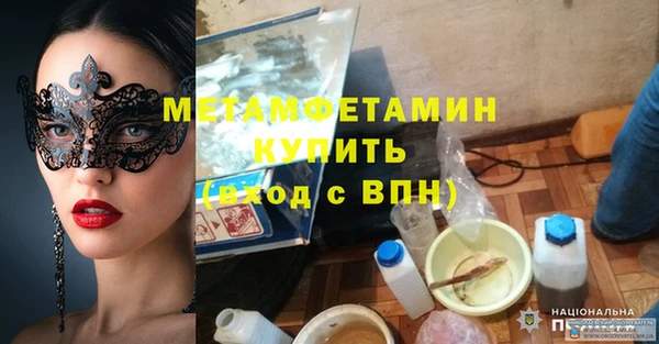 индика Инта