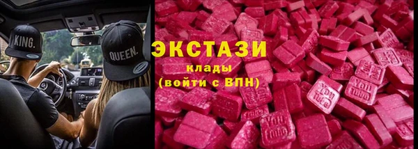 индика Инта