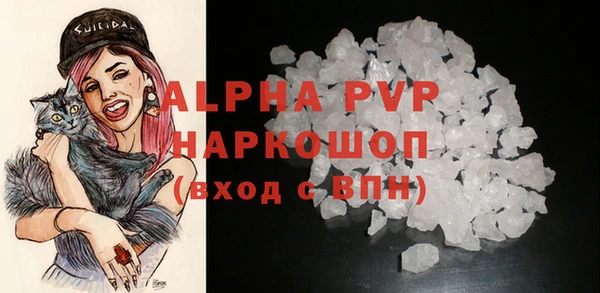 спиды Инсар