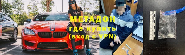 индика Инта