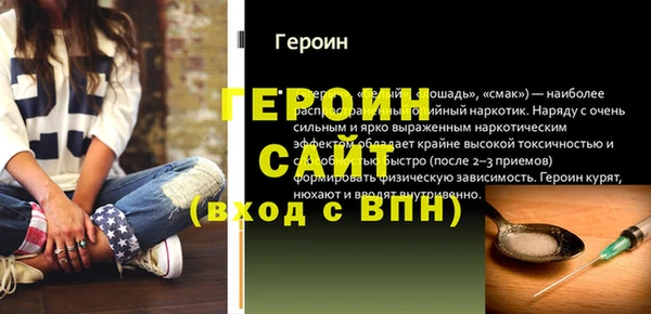 индика Инта