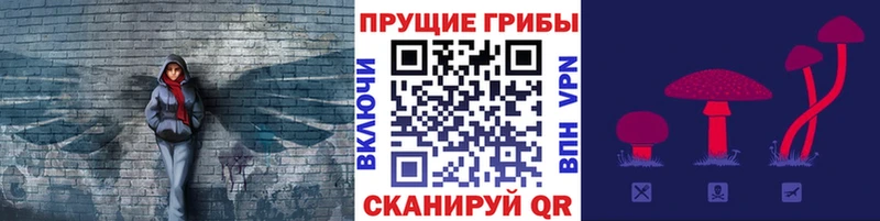 Псилоцибиновые грибы мицелий Кириши